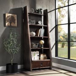 Bookshelf & File Cabinet