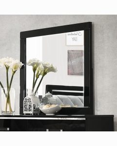 Chelsie Mirror