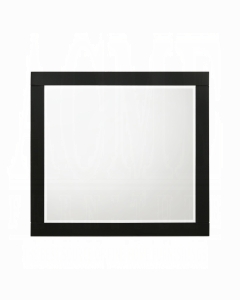 Chelsie Mirror