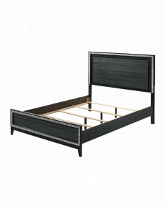 Haiden Queen Bed W/Led
