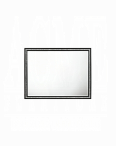 Haiden Mirror
