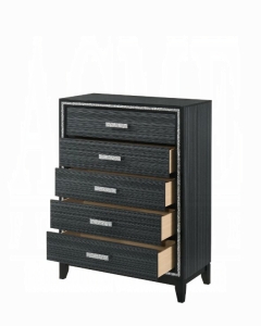 Haiden Chest