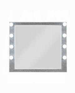 Sliverfluff Mirror W/Light