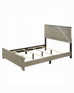 Joanna Queen Bed w/LED