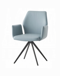 Segismunda Arm Chair W/Swivel