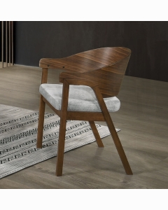 Hoyte Arm Chair (Set-2)