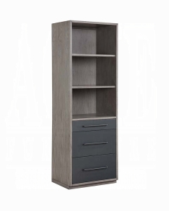Estevon Bookcase